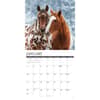 image Paint Horses 2027 Wall Calendar Second Alternate Image