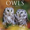 image Owls 2027 Wall Calendar Main Product Image