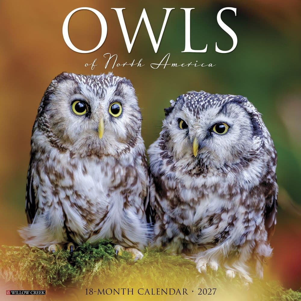 image Owls 2027 Wall Calendar Main Product Image
