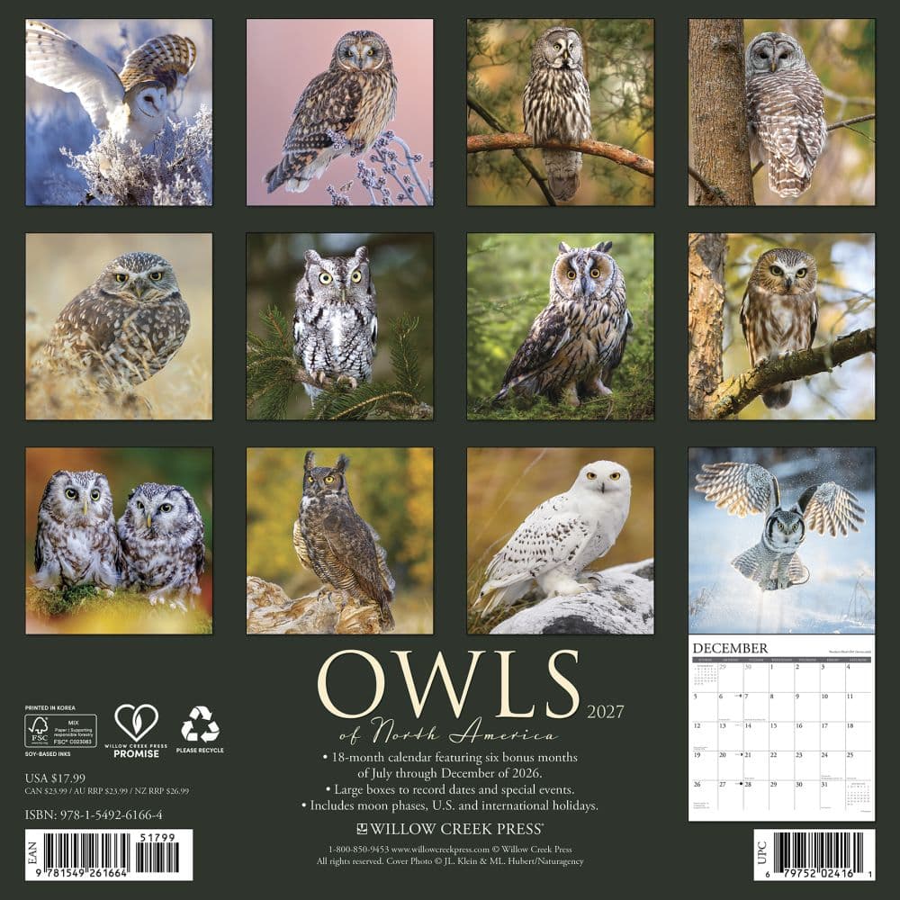Owls 2027 Wall Calendar First Alternate Image