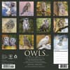 image Owls 2027 Wall Calendar First Alternate Image