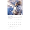 image Owls 2027 Wall Calendar Second Alternate Image