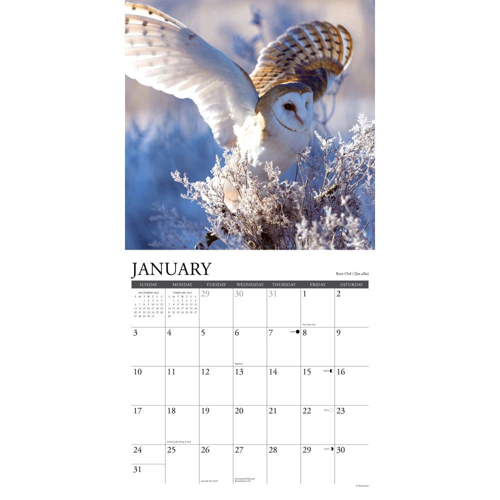 Owls 2027 Wall Calendar Second Alternate Image
