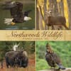 image Northwoods Wildlife 2027 Wall Calendar Main Product Image