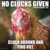 image No Clucks Given 2027 Wall Calendar Main Product Image