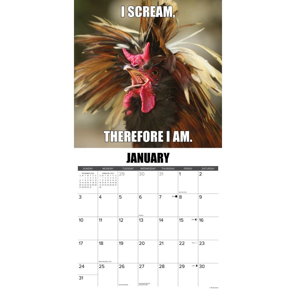 No Clucks Given 2027 Wall Calendar Second Alternate Image