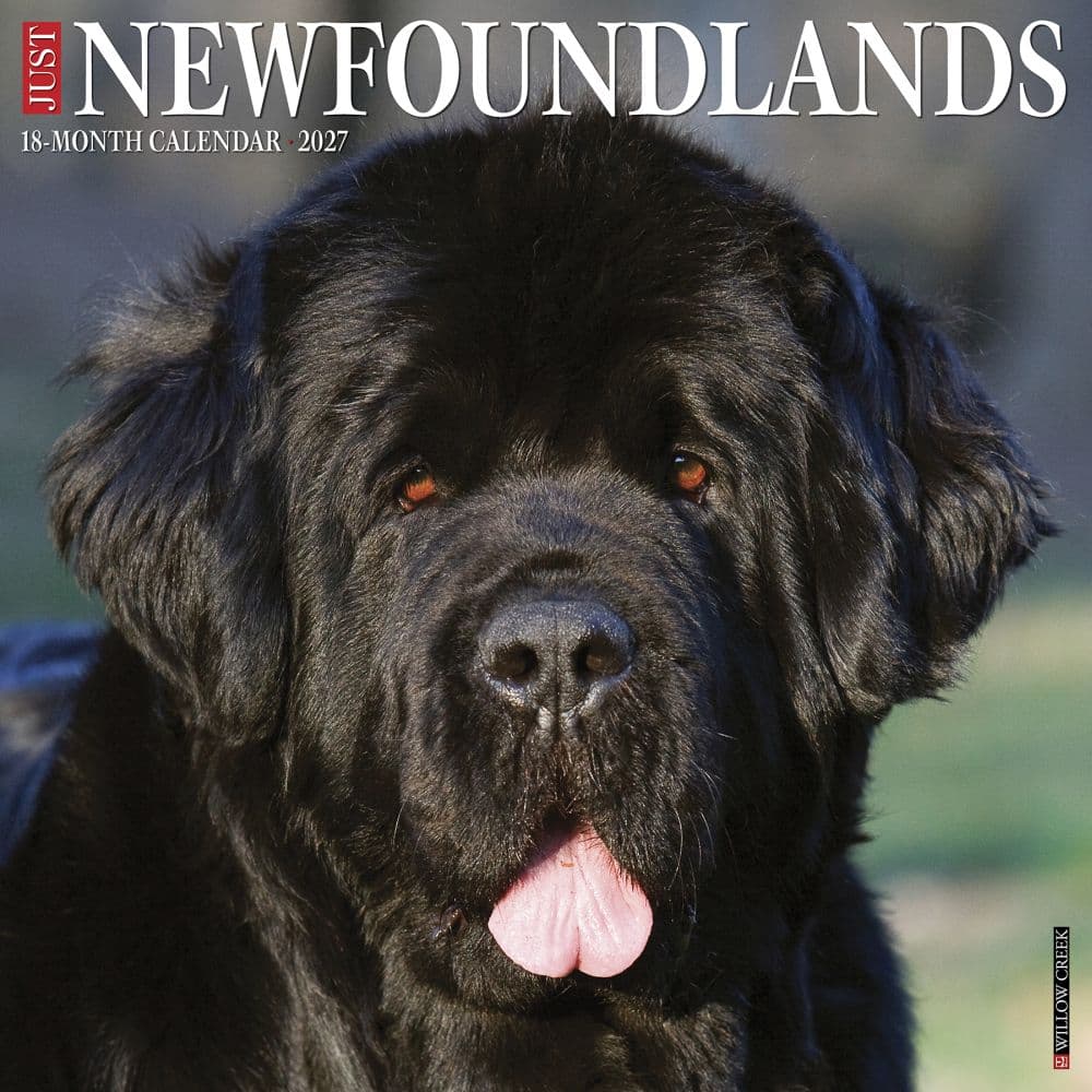 image Just Newfoundlands 2027 Wall Calendar Main Product Image