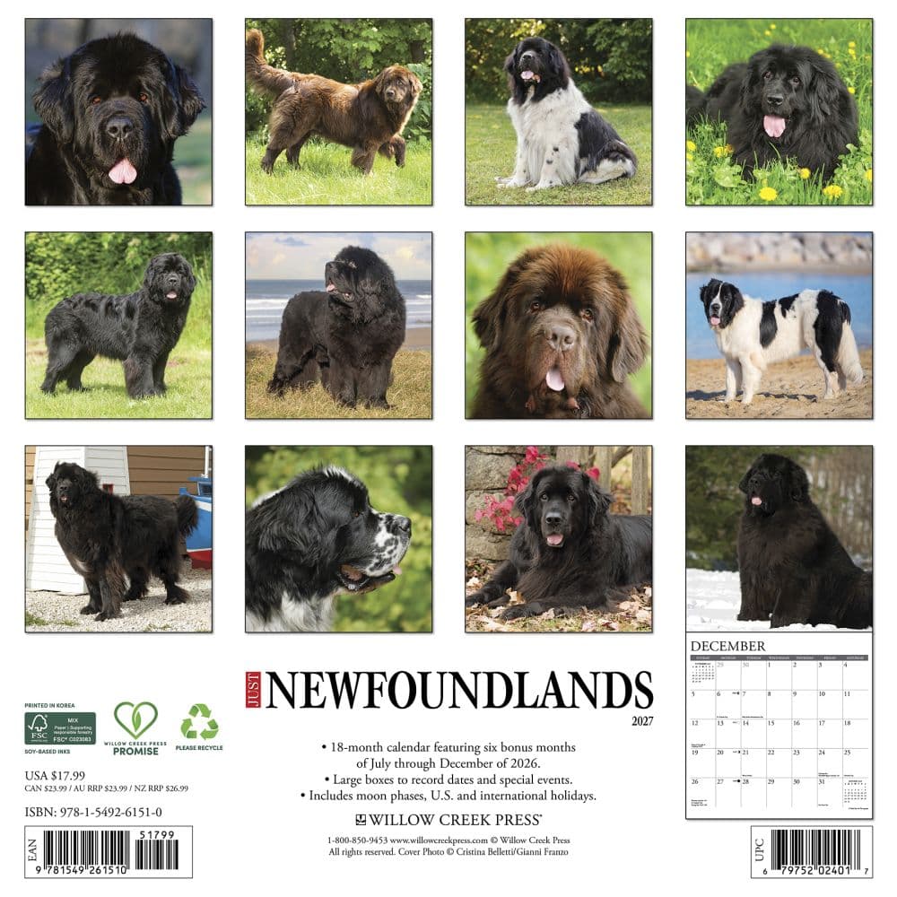Just Newfoundlands 2027 Wall Calendar First Alternate Image