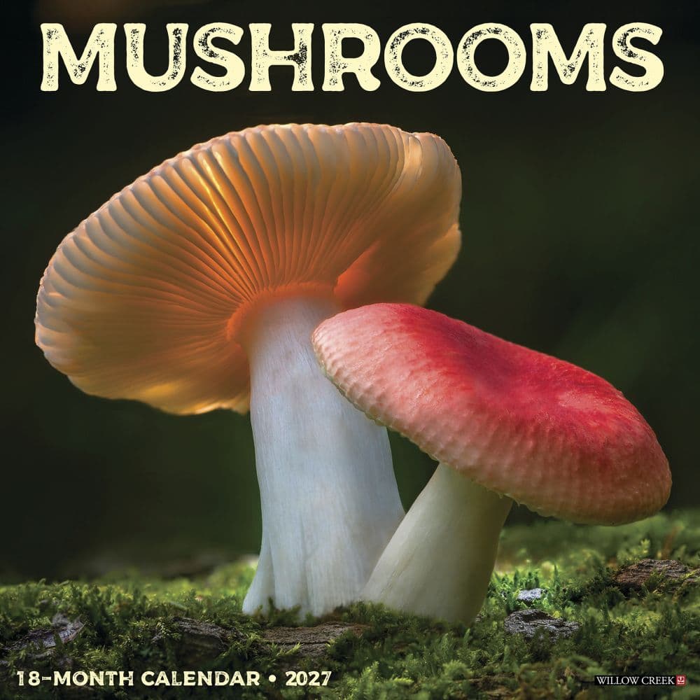 Mushroom Art 2027 Wall Calendar Main Product Image
