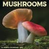 image Mushroom Art 2027 Wall Calendar Main Product Image