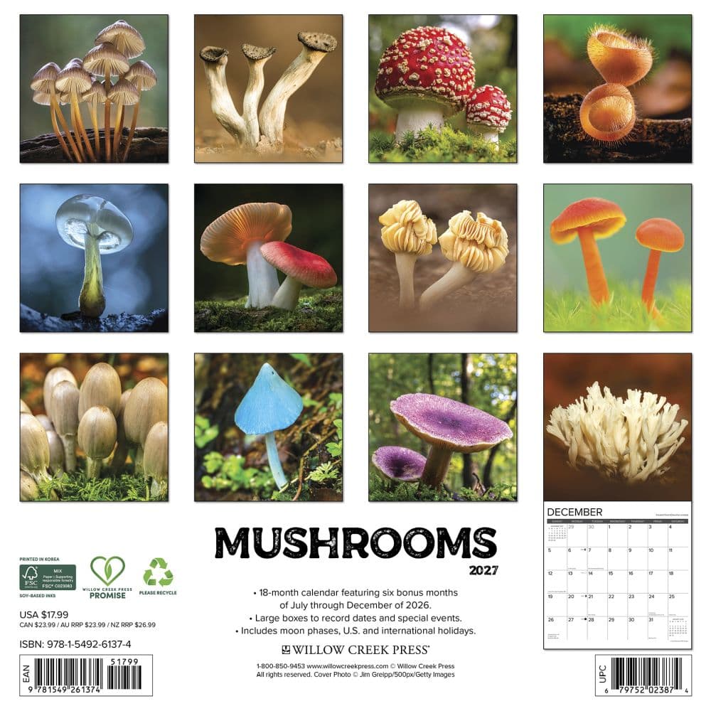 Mushroom Art 2027 Wall Calendar First Alternate Image