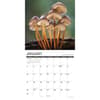 image Mushroom Art 2027 Wall Calendar Second Alternate Image