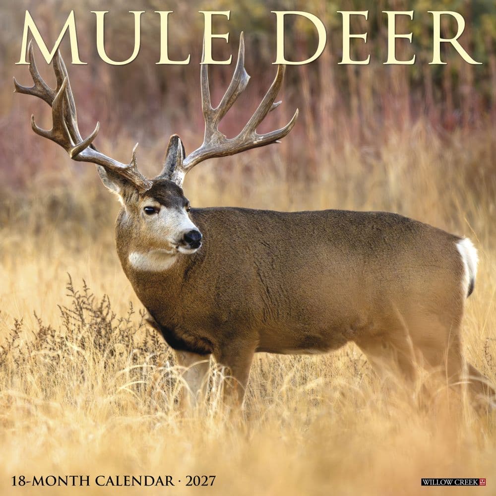 Mule Deer 2027 Wall Calendar Main Product Image
