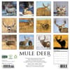 image Mule Deer 2027 Wall Calendar First Alternate Image