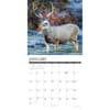 image Mule Deer 2027 Wall Calendar Second Alternate Image