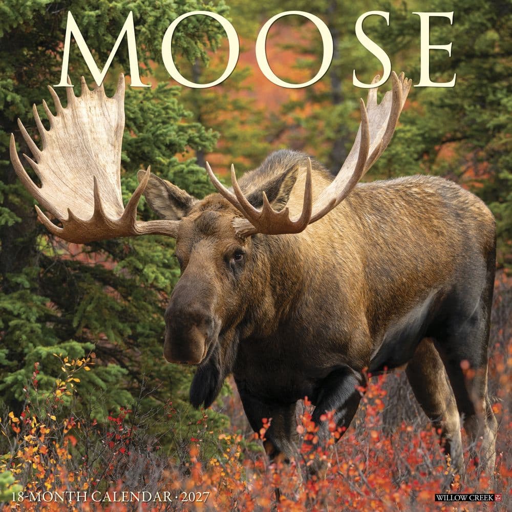 Moose 2027 Wall Calendar Main Product Image