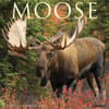 image Moose 2027 Wall Calendar Main Product Image