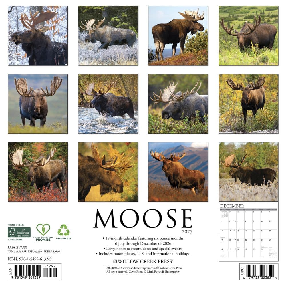 Moose 2027 Wall Calendar First Alternate Image