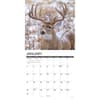 image Monster Bucks 2027 Wall Calendar Second Alternate Image