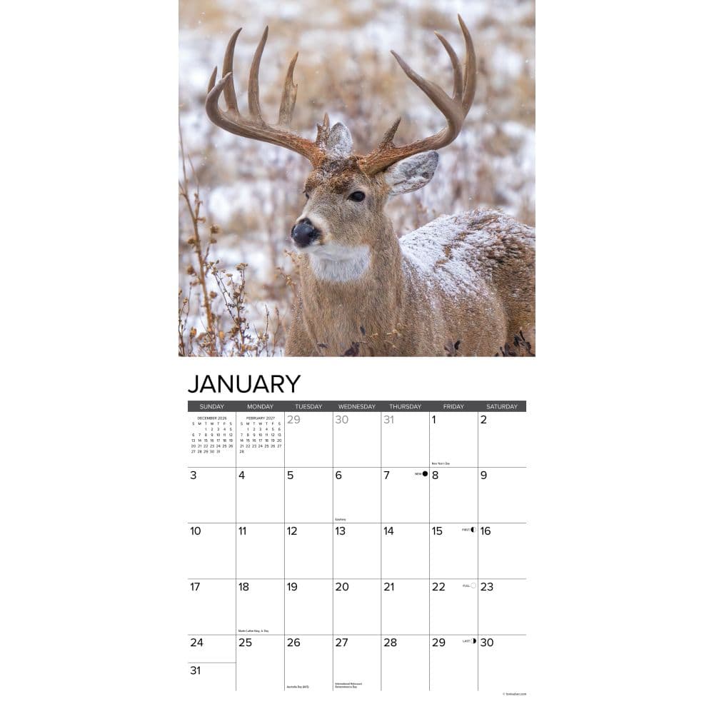 Monster Bucks 2027 Wall Calendar Second Alternate Image