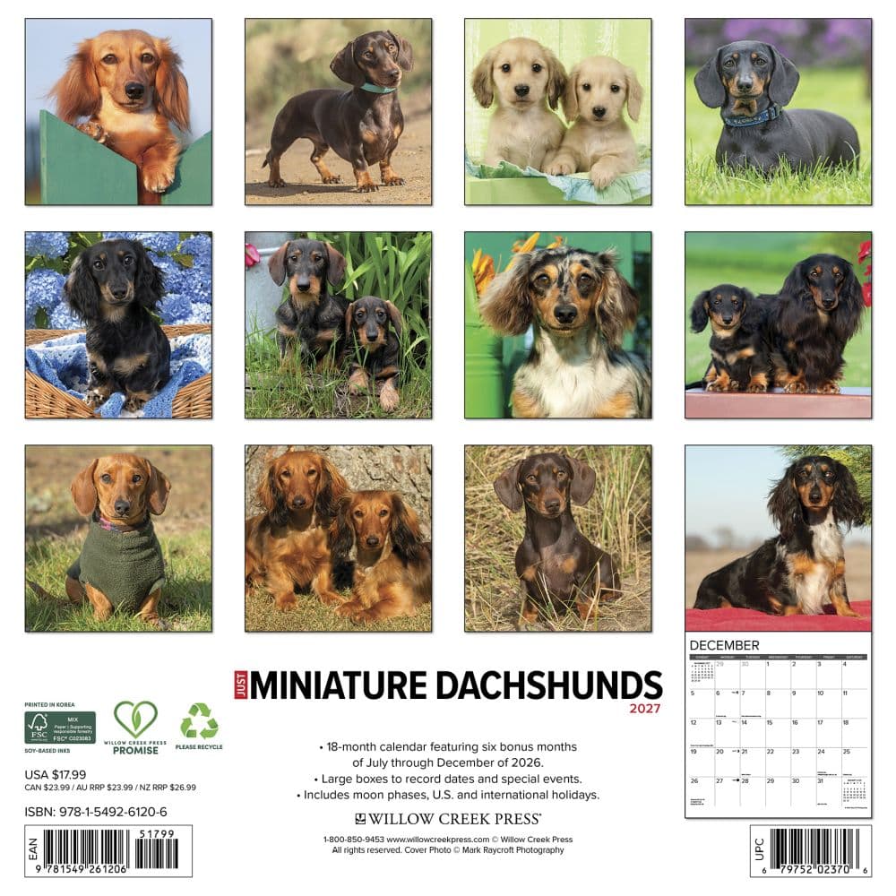 Just Miniature Dachshunds 2027 Wall Calendar First Alternate Image