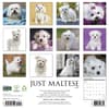 image Just Maltese 2027 Wall Calendar First Alternate Image