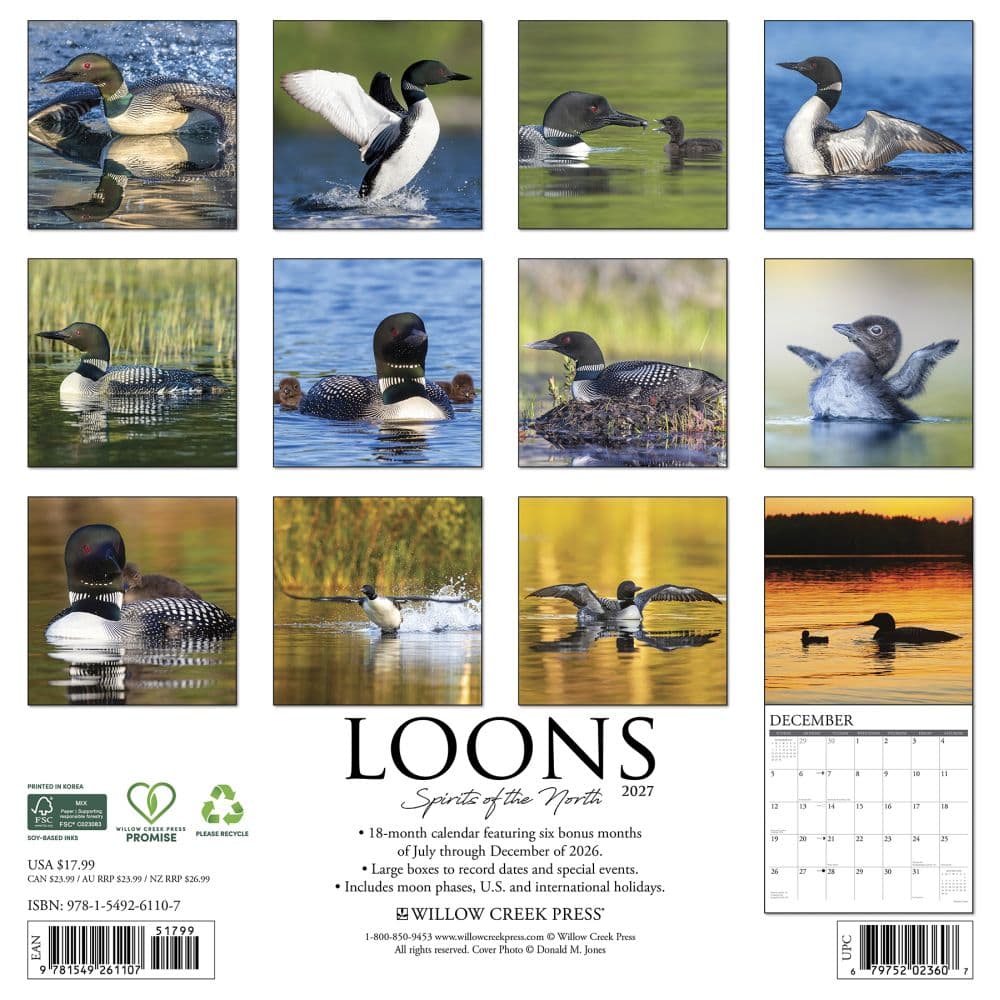 Loons 2027 Wall Calendar First Alternate Image