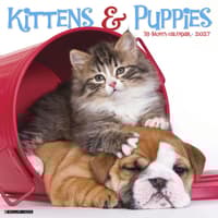 image Kittens and Puppies 2027 Wall Calendar Main Product Image