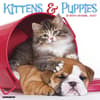 image Kittens and Puppies 2027 Wall Calendar Main Product Image