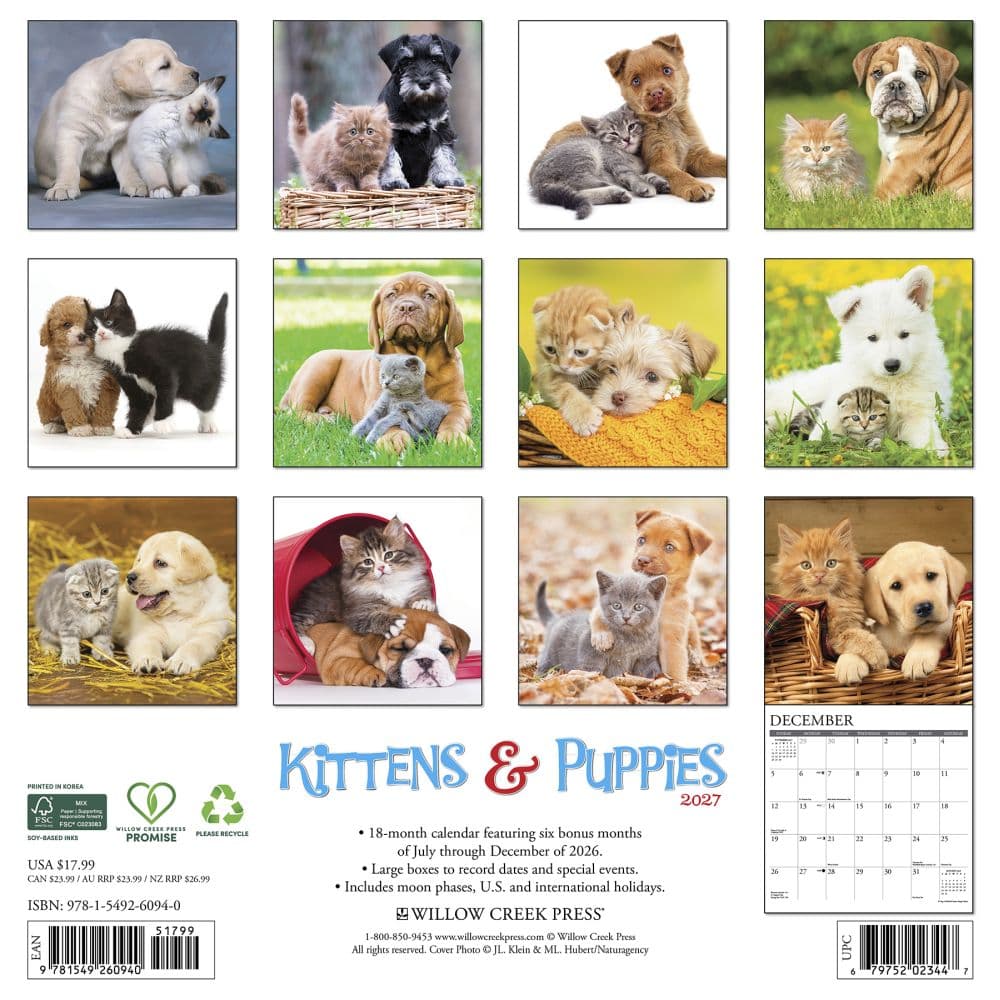 Kittens and Puppies 2027 Wall Calendar First Alternate Image