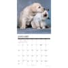 image Kittens and Puppies 2027 Wall Calendar Second Alternate Image