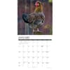 image Just Us Chickens 2027 Wall Calendar Second Alternate Image