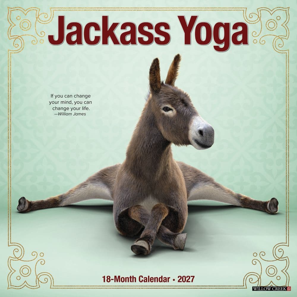Jackass Yoga 2027 Wall Calendar Main Product Image