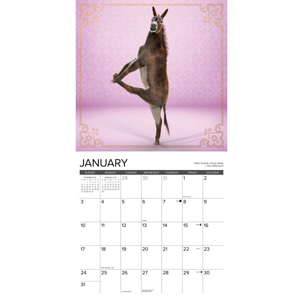 Jackass Yoga 2027 Wall Calendar Second Alternate Image