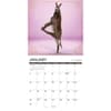 image Jackass Yoga 2027 Wall Calendar Second Alternate Image