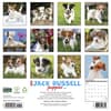 image Jack Russell Puppies 2027 Wall Calendar First Alternate Image