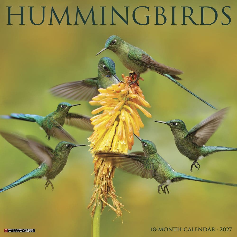 Hummingbirds 2027 Wall Calendar Main Product Image
