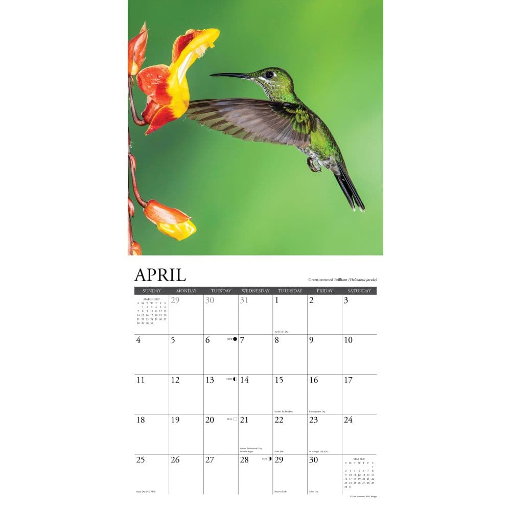 Hummingbirds 2027 Wall Calendar Second Alternate Image