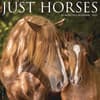 image Just Horses 2027 Wall Calendar Main Product Image