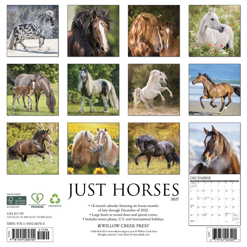 Just Horses 2027 Wall Calendar First Alternate Image