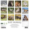 image Just Horses 2027 Wall Calendar First Alternate Image