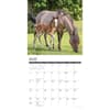 image Just Horses 2027 Wall Calendar Second Alternate Image