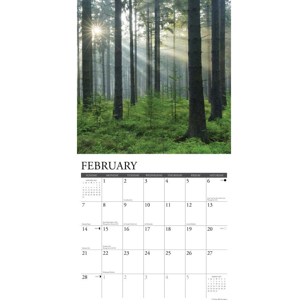 Heaven Has a Forest 2027 Wall Calendar Second Alternate Image
