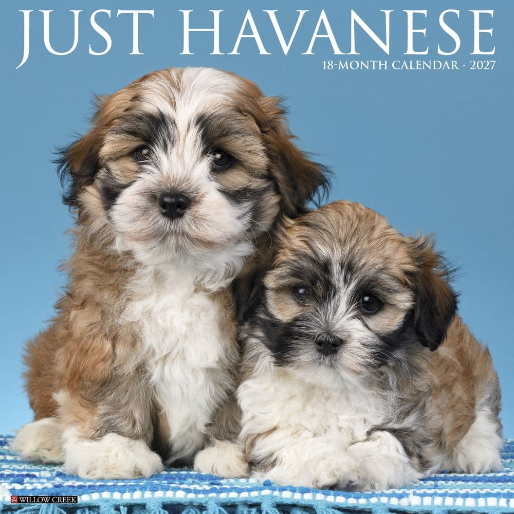 image Just Havanese 2027 Wall Calendar Main Product Image