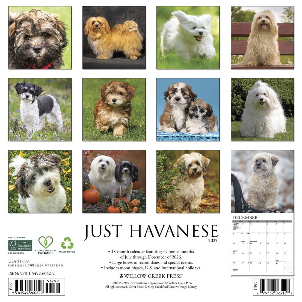 Just Havanese 2027 Wall Calendar First Alternate Image