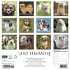 image Just Havanese 2027 Wall Calendar First Alternate Image