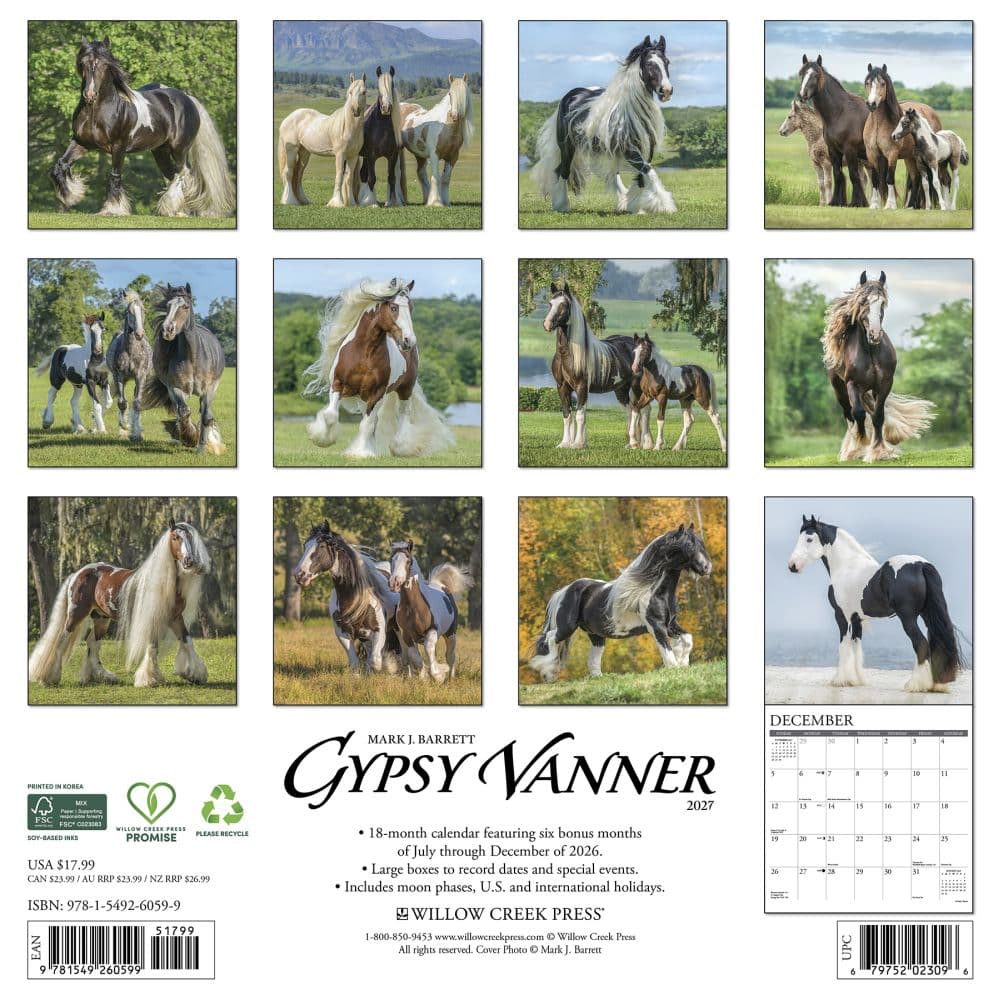 Gypsy Vanner Horses 2027 Wall Calendar First Alternate Image