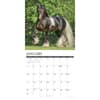 image Gypsy Vanner Horses 2027 Wall Calendar Second Alternate Image