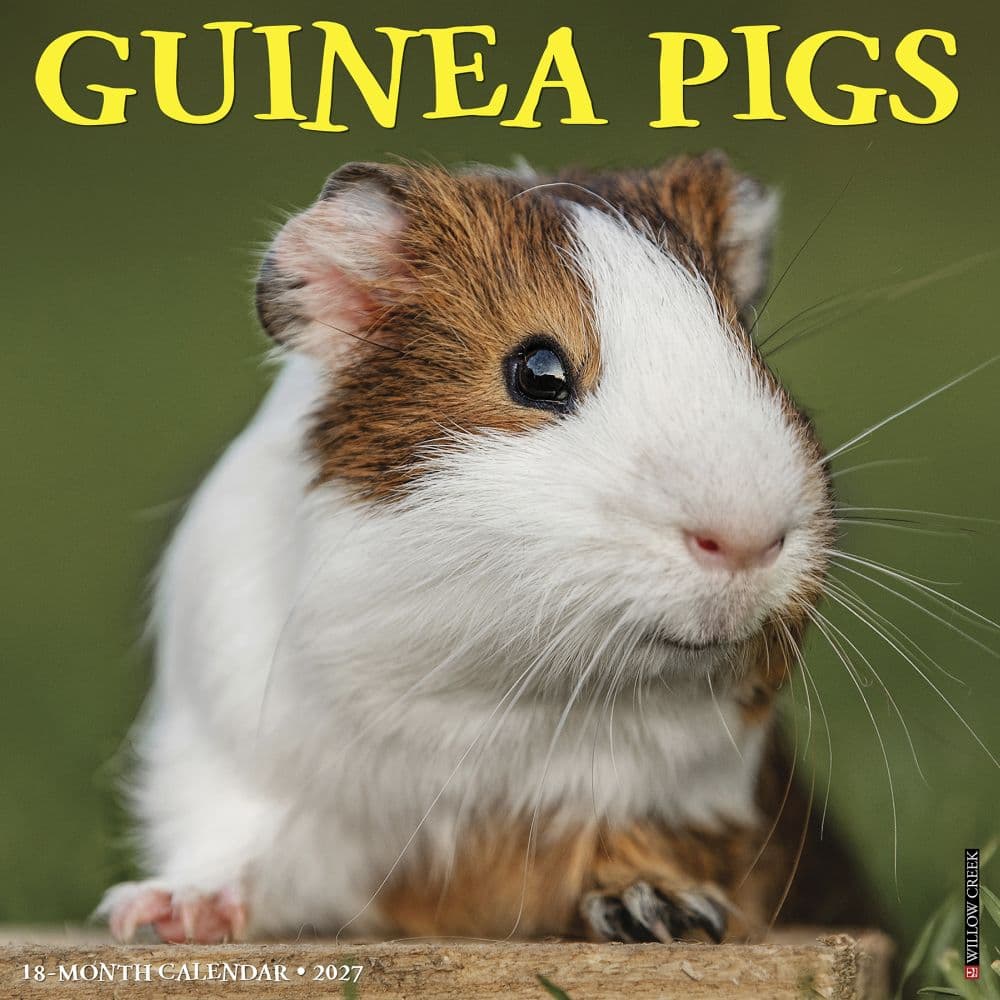 Guinea Pigs 2027 Wall Calendar Main Product Image