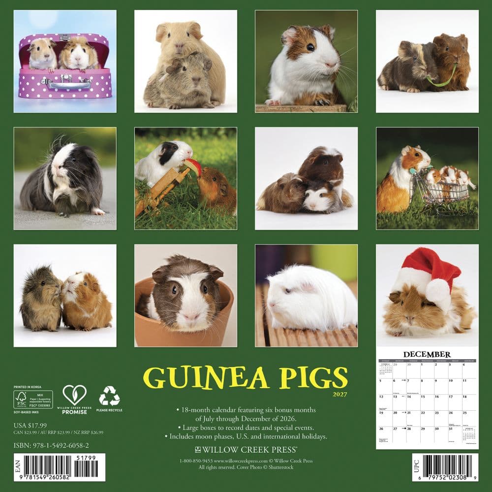 Guinea Pigs 2027 Wall Calendar First Alternate Image